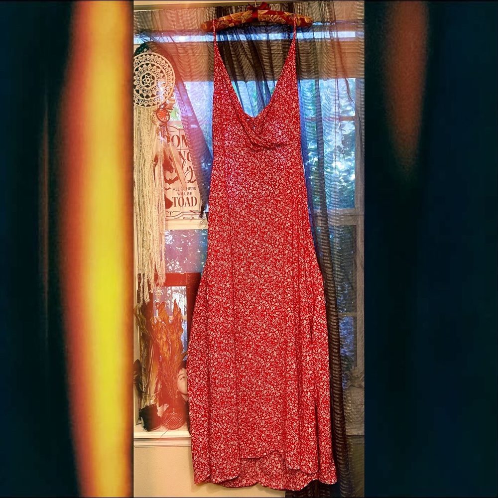 Ditsy Floral Plus Size Red and white maxi dress